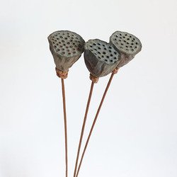 3pcs