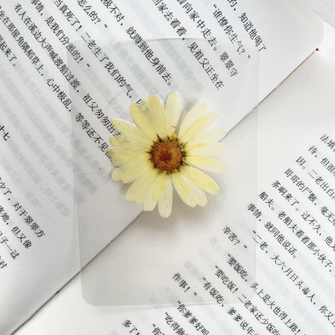 Plastic Sealed Dried Flower Bookmark Botanic Specimen Bookmark Plasticized Real Leaf Plasticized Bookmark Stick Shooting Props