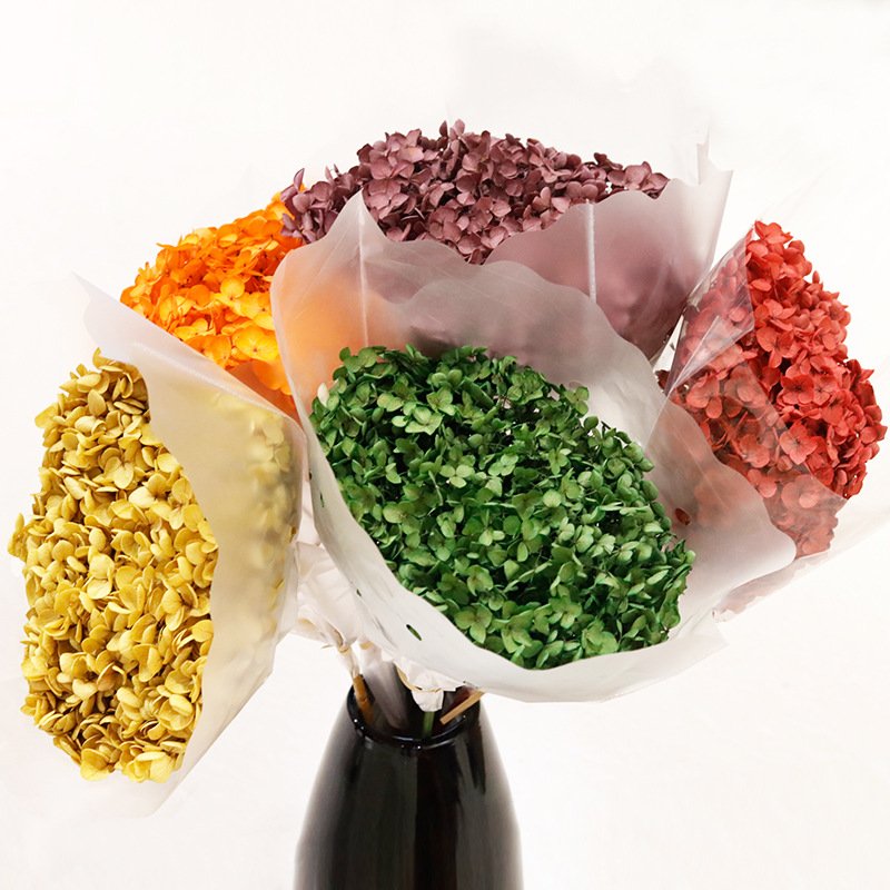 Wholesale High Quality Hortensia Preservada Preserved Flowers Anna Preserved Hydrangea with Long Stem