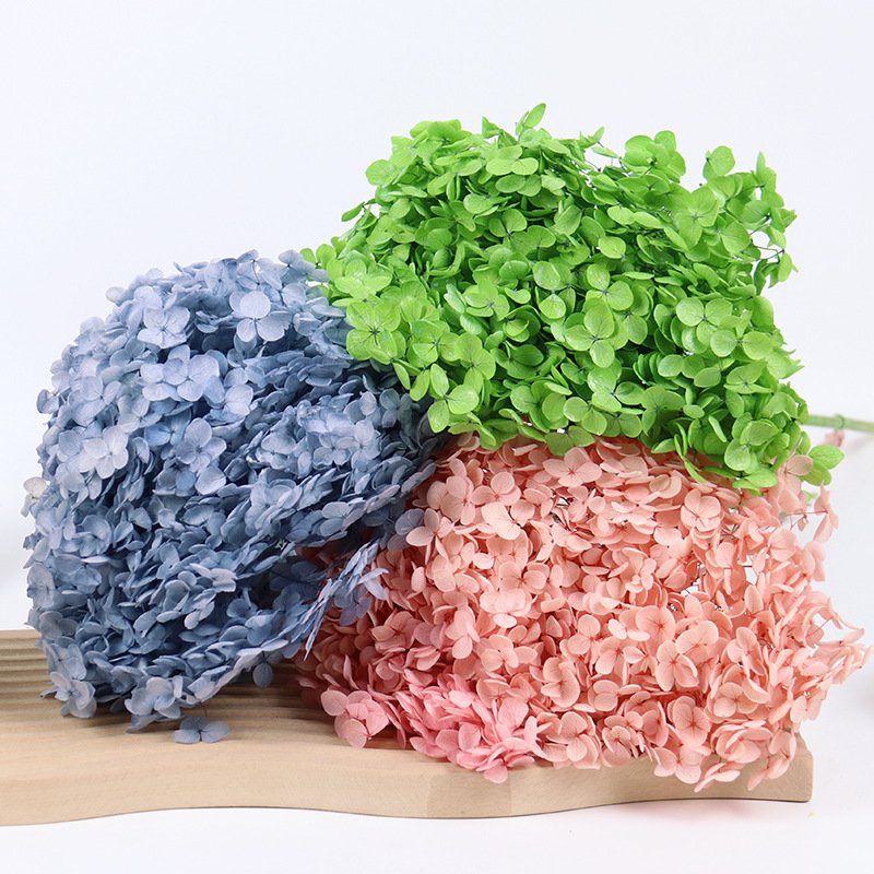 Wholesale High Quality Hortensia Preservada Preserved Flowers Anna Preserved Hydrangea with Long Stem