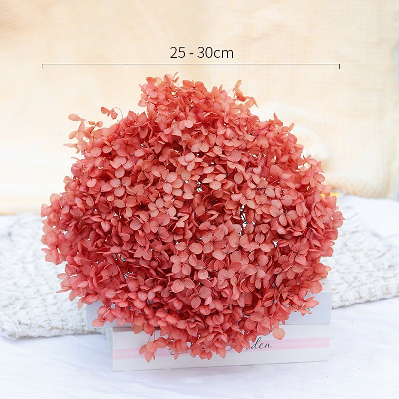 Wholesale High Quality Hortensia Preservada Preserved Flowers Anna Preserved Hydrangea with Long Stem