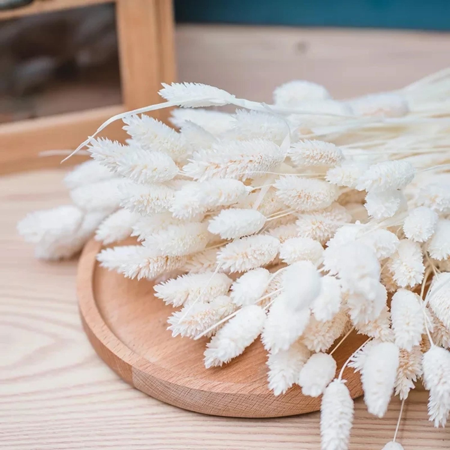 Wholesale Natural Dried Phalaenopsis Flowers Small Dried Gem Grass Phalaris Grass