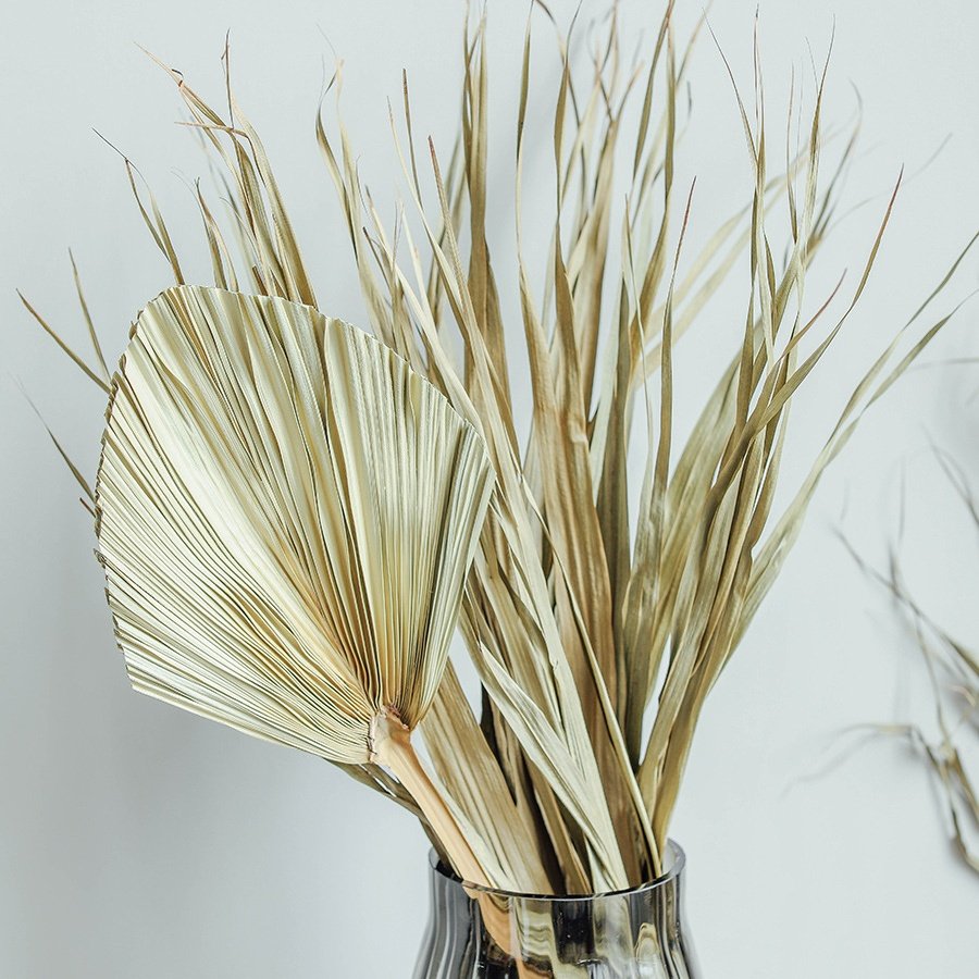 Wholesale Natural Boho Dried Palm Leaves Natural Large Small Dry Palm Flower Fan Leaf Wedding Decor
