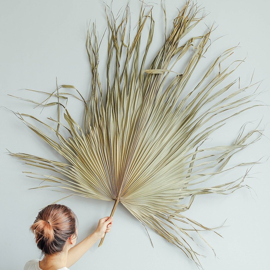 Wholesale Natural Boho Dried Palm Leaves Natural Large Small Dry Palm Flower Fan Leaf Wedding Decor
