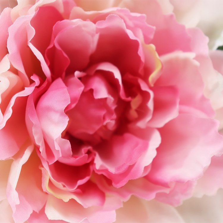 Wholesale 38cm 5-Head Peony Rose Bundle Preserved Outdoor Wedding Bride Bouquet & Home Decor Dried Flowers & Plants