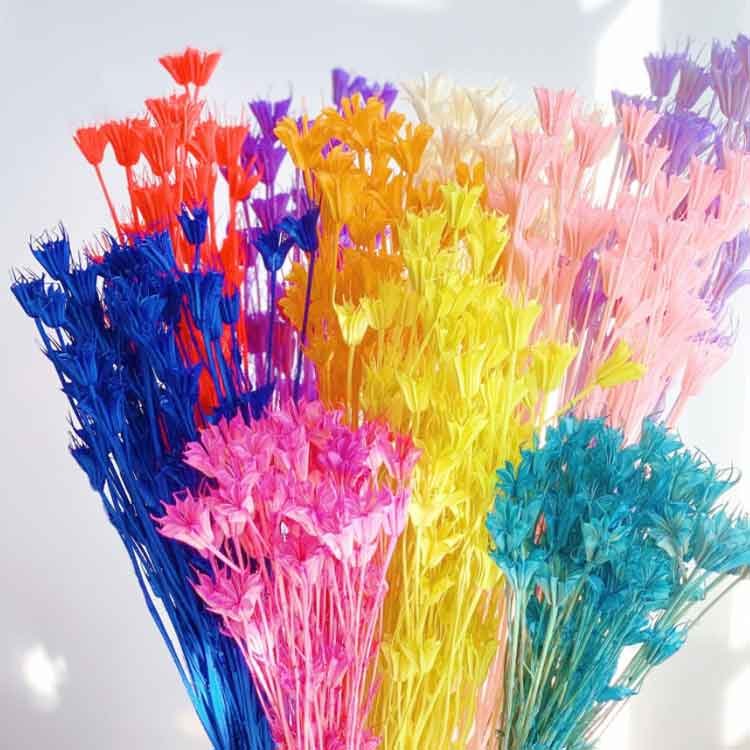 Natural Colorful Dried Star Anise Flowers Florist Everlasting Preserved Flower Arrangement