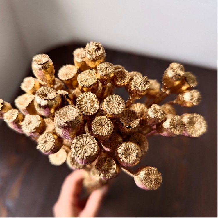 Real Dried Gold and Silver Corn Poppy Flower 40 Grams per Bundle for Home Flower Arrangement and DIY Wedding Decorations
