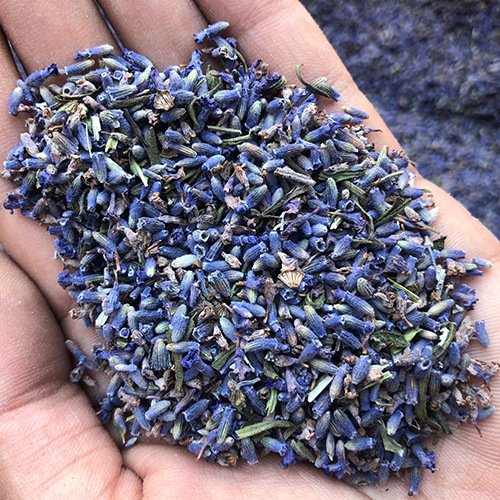 Factory Wholesale Natural Dried French Lavender Buds Bulk High Quality Lavender Flowers