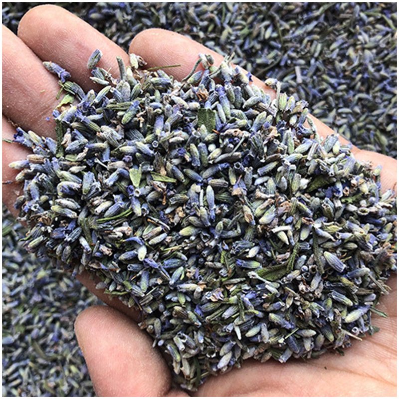 Factory Wholesale Natural Dried French Lavender Buds Bulk High Quality Lavender Flowers