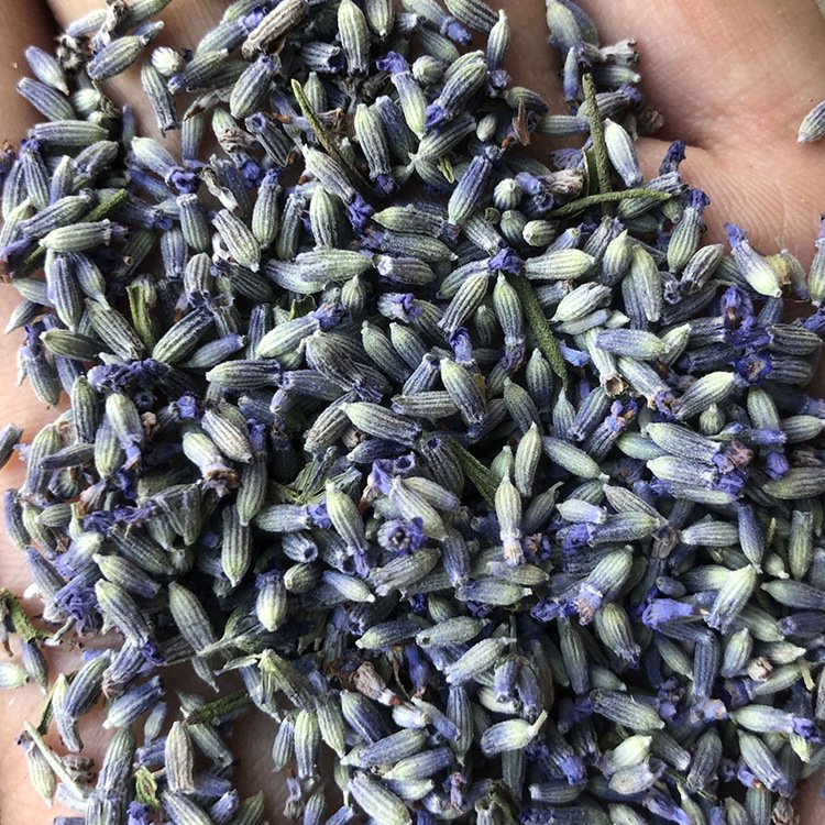 Factory Wholesale Natural Dried French Lavender Buds Bulk High Quality Lavender Flowers
