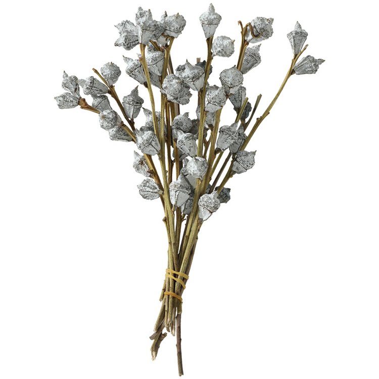 SumFlora Northern selling Floral decoration white gray pink long-term Flowers dried flower eucalyptus fruit big