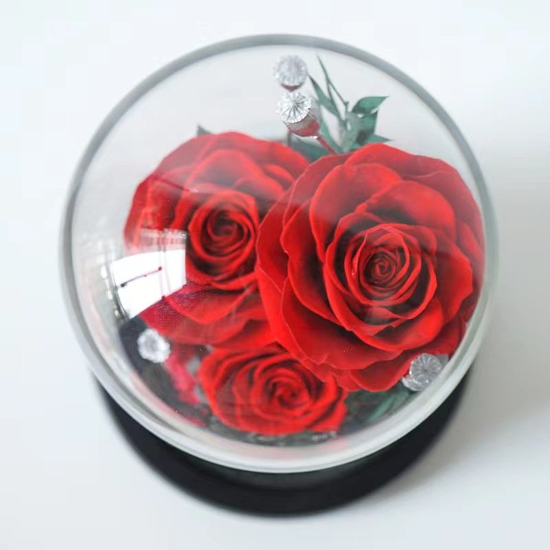 Yunnan Forever Fresh Rose Landscape Glass Cover Preserved Flower Decoration Qixi Gift for Girlfriend