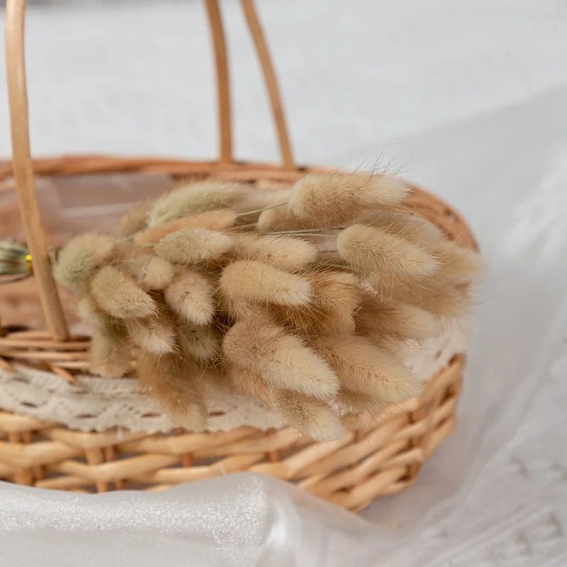 Multicolor 60pcs Wedding Decor Bunny Tails Grass Flower Preserved Rabbit Tail Home DIY Bouquet for Christmas Party Easter