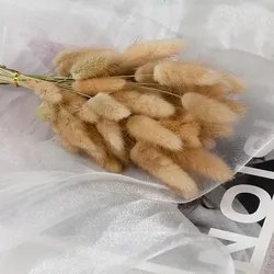 60cm-60pcs-1