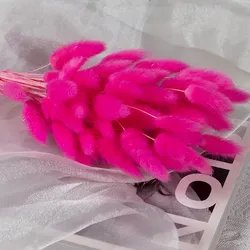 60cm-60pcs-10