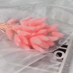 60cm-60pcs-5