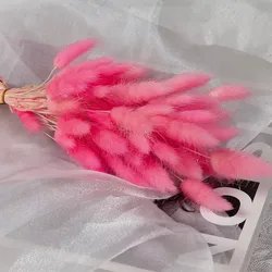 60cm-60pcs-6