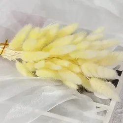 60cm-60pcs-8
