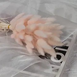 60cm-60pcs-9