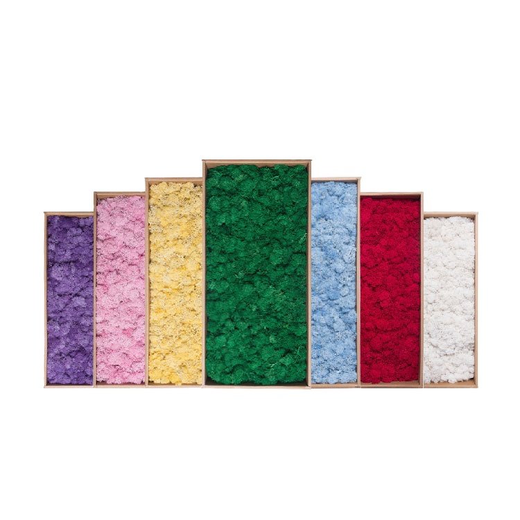 Wholesale Last 5 Years Green Wall Real Natural Stabilized Preserved Decorative Moss Bun Pillow Cushion Pole Moss