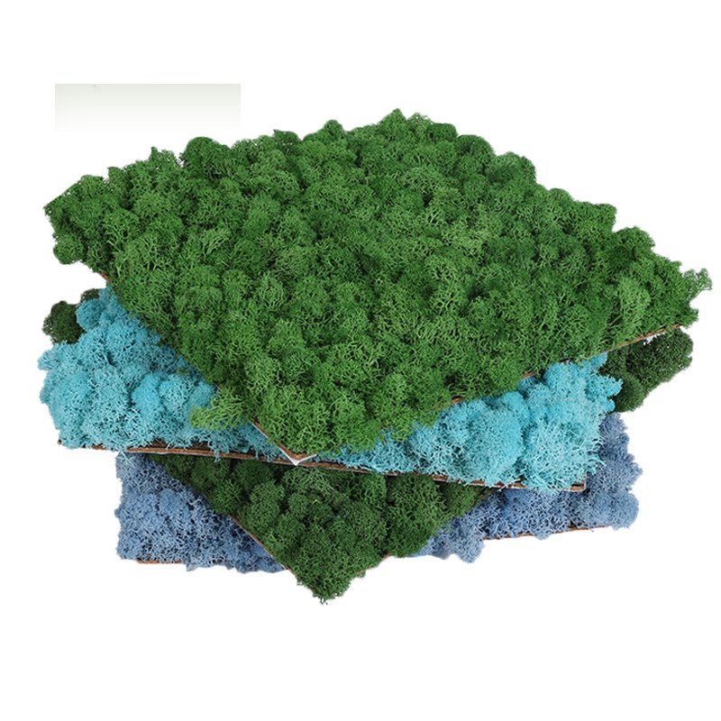 Wholesale Last 5 Years Green Wall Real Natural Stabilized Preserved Decorative Moss Bun Pillow Cushion Pole Moss