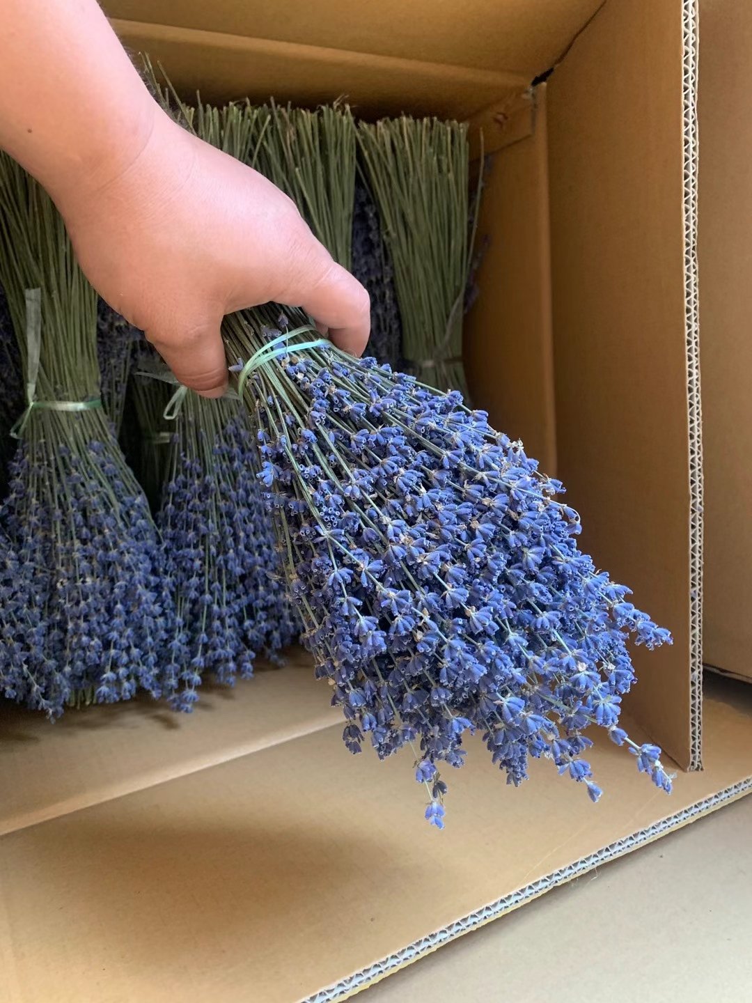 100% Natural Dried Lavender Bundles 18 Inches Long 300 Stems Lavender Dried Flowers lavender flowers dried dry lavender flower