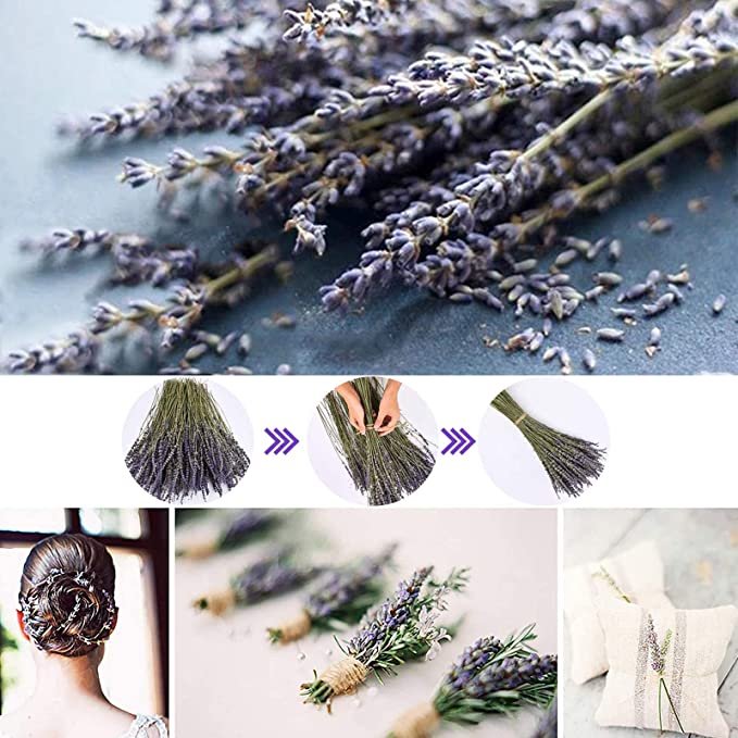 100% Natural Dried Lavender Bundles 18 Inches Long 300 Stems Lavender Dried Flowers lavender flowers dried dry lavender flower