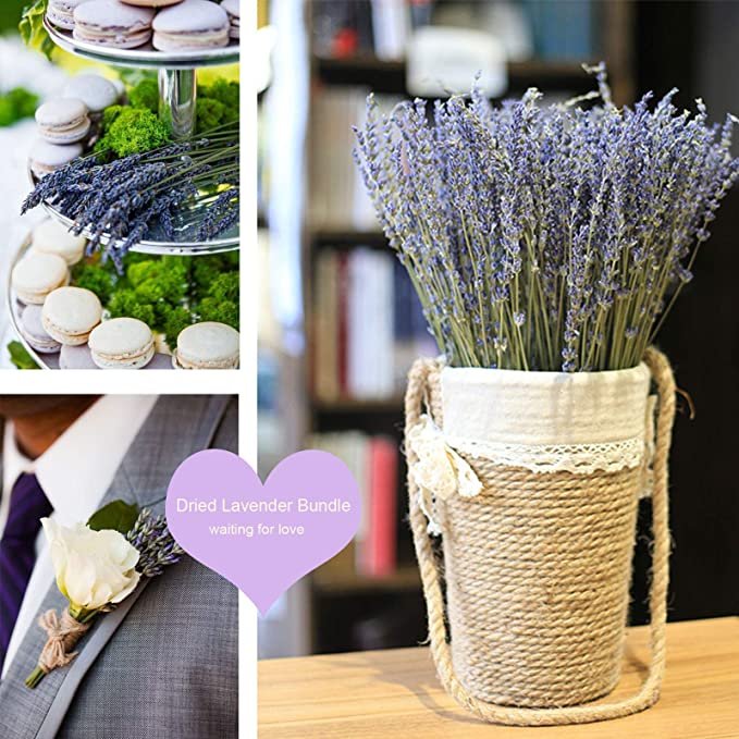 100% Natural Dried Lavender Bundles 18 Inches Long 300 Stems Lavender Dried Flowers lavender flowers dried dry lavender flower