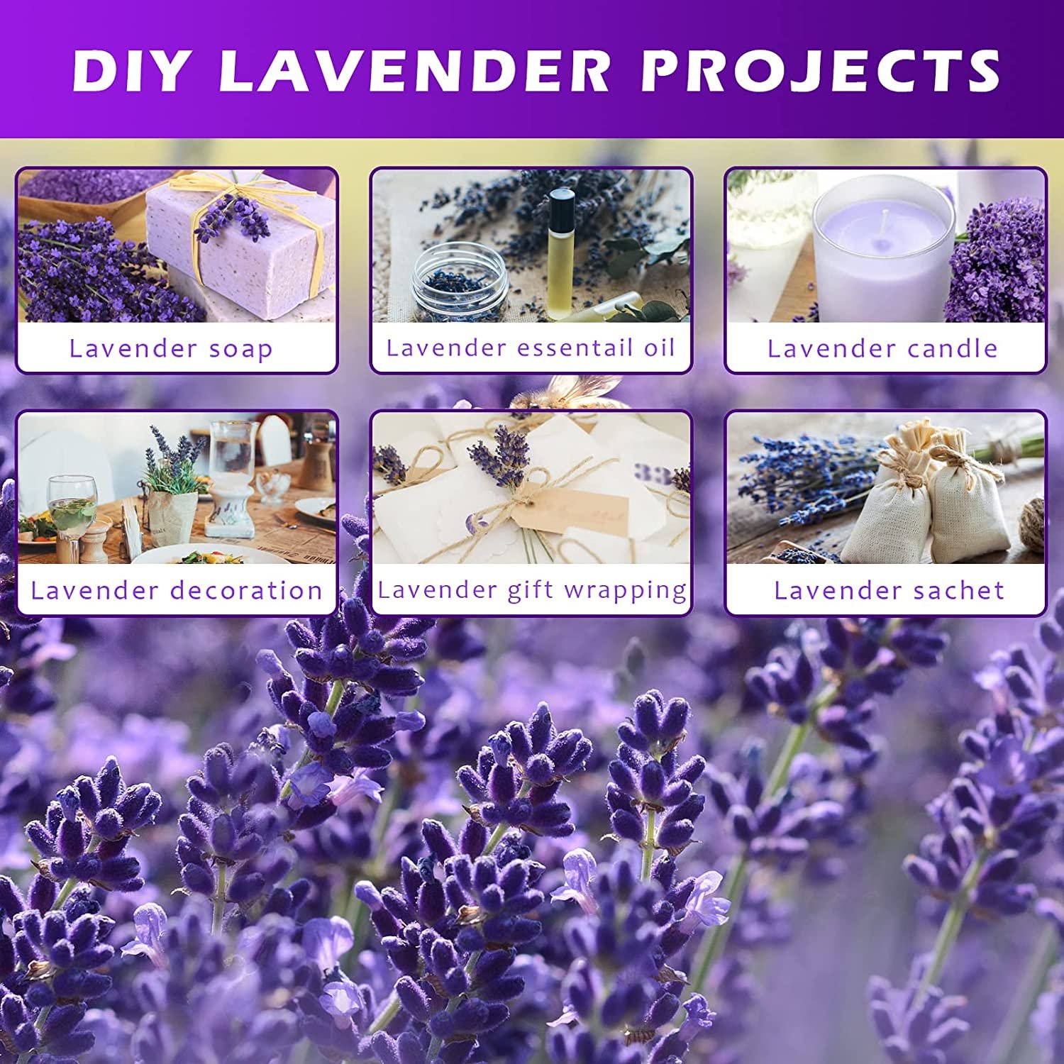 100% Natural Dried Lavender Bundles 18 Inches Long 300 Stems Lavender Dried Flowers lavender flowers dried dry lavender flower