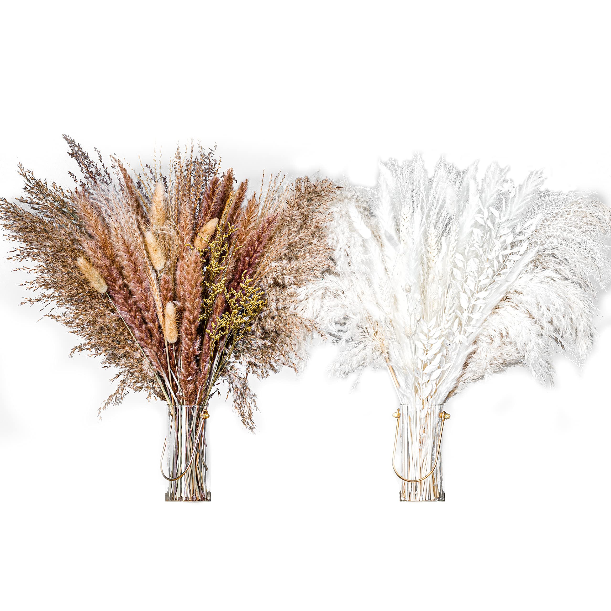 Super Low Prices September Dried Flower Dry Pampas Grass For Decoration