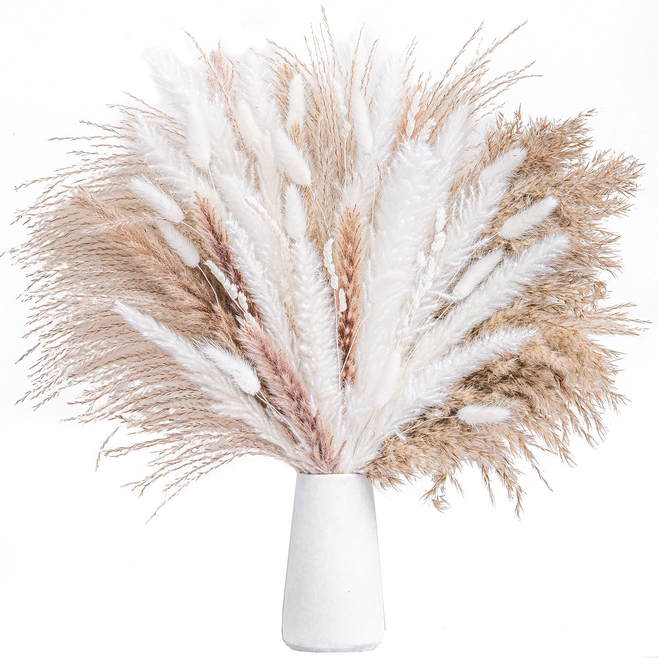 Super Low Prices September Dried Flower Dry Pampas Grass For Decoration