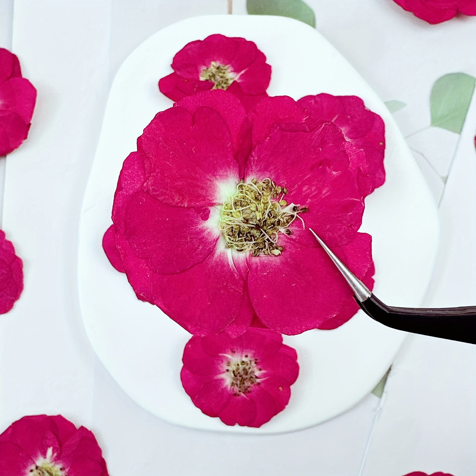 Dried Flower Pressed Rose Drip Gum Dried Flower Phone Case for Earrings Crafts Wind Chime Hair Clip DIY
