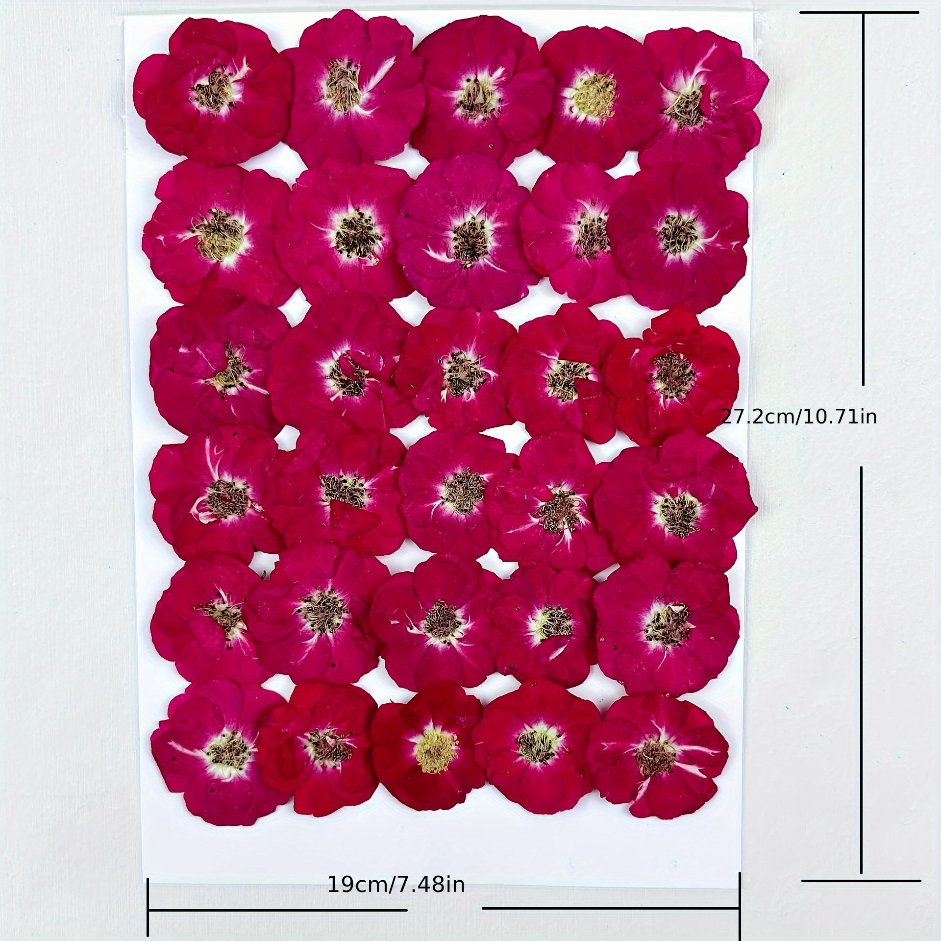 Dried Flower Pressed Rose Drip Gum Dried Flower Phone Case for Earrings Crafts Wind Chime Hair Clip DIY