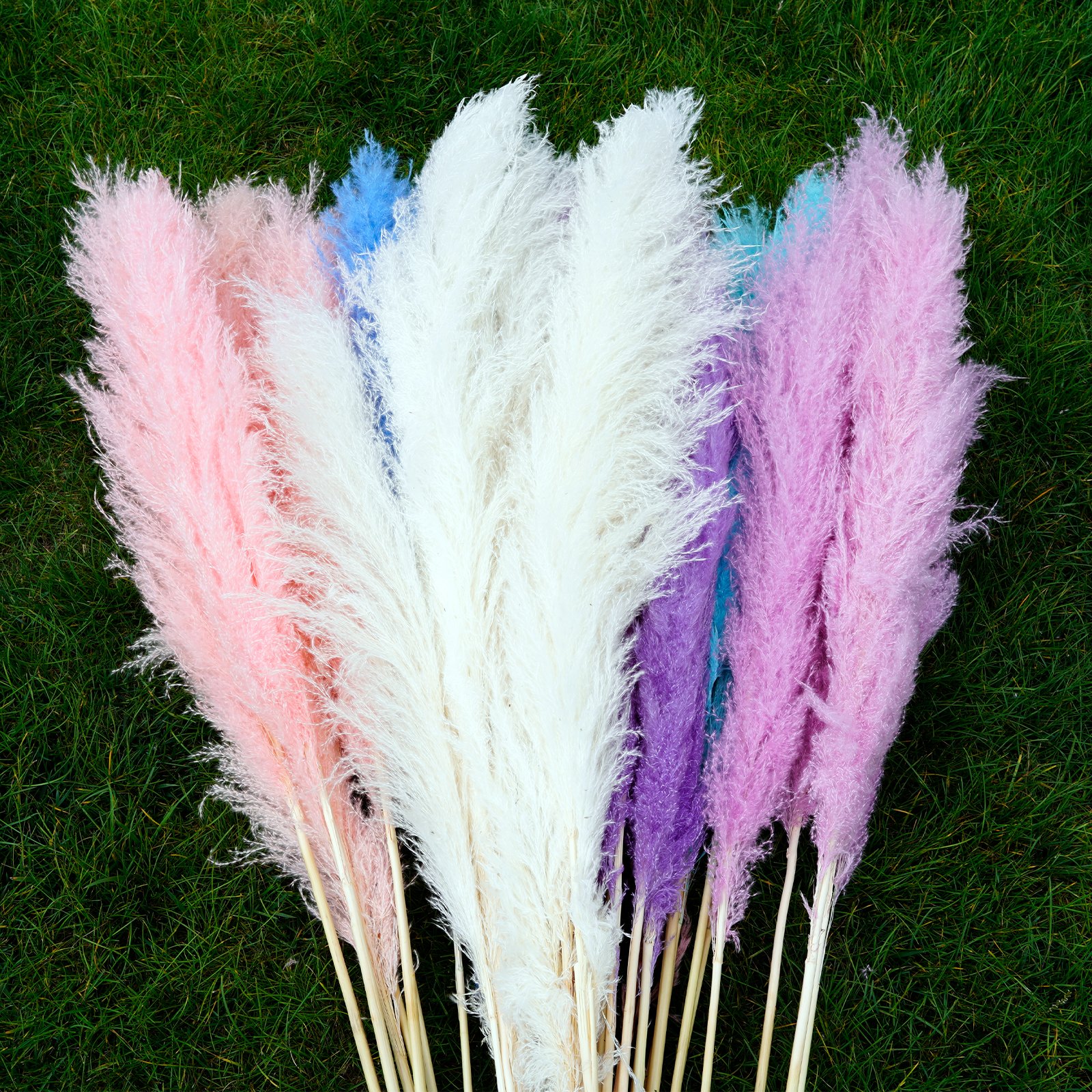 Hot-selling Natural Dried Large Pampas Grass Decor for Home Kitchen Garden Wedding arrangement Flower Arrangement Vase Decor