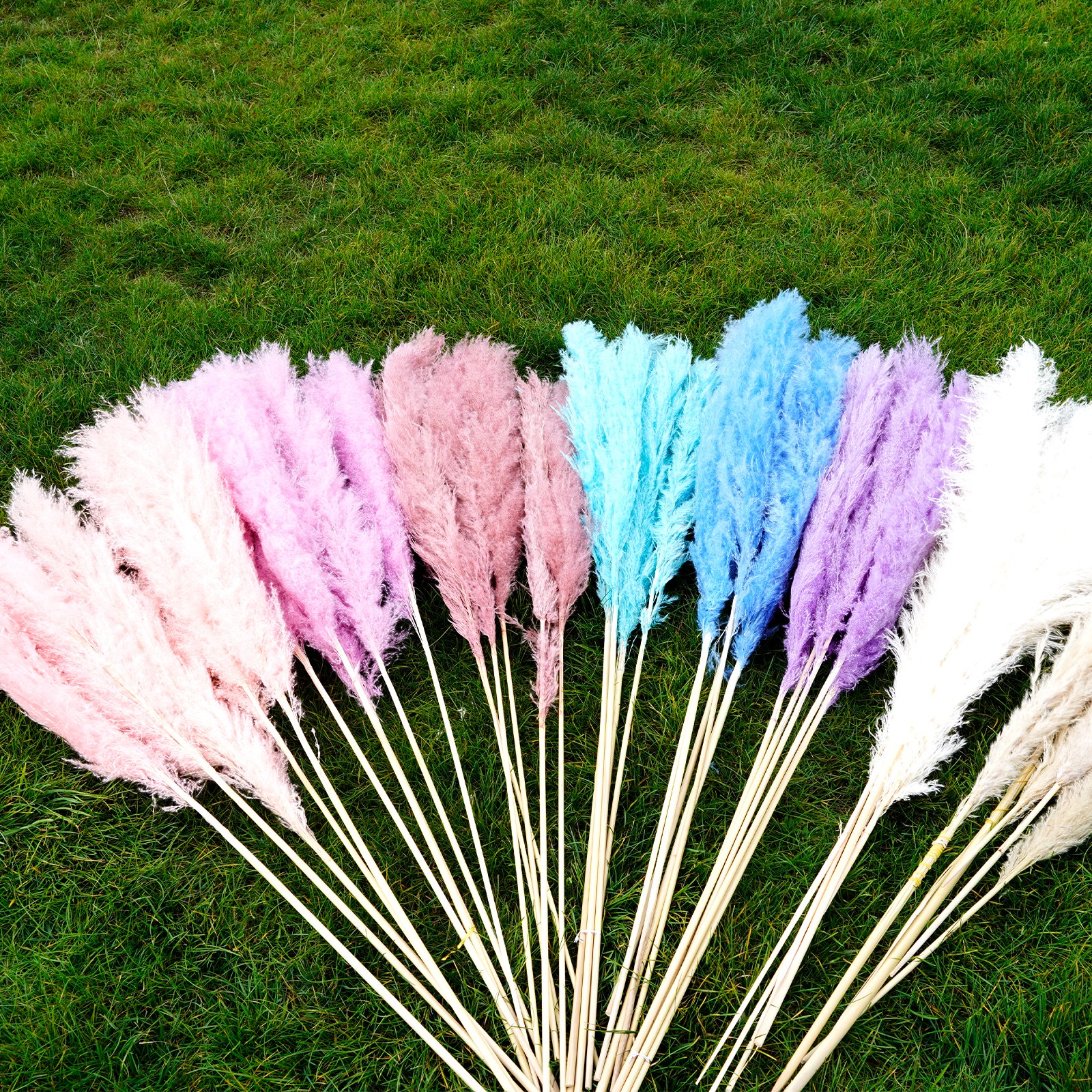 Hot-selling Natural Dried Large Pampas Grass Decor for Home Kitchen Garden Wedding arrangement Flower Arrangement Vase Decor