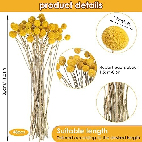 30pcs Dried Flowers Dried Billy Balls Dried Golden Mallet Flower Buttons Yellow Dried Flowers with Stems Fake Silk Dried Flower
