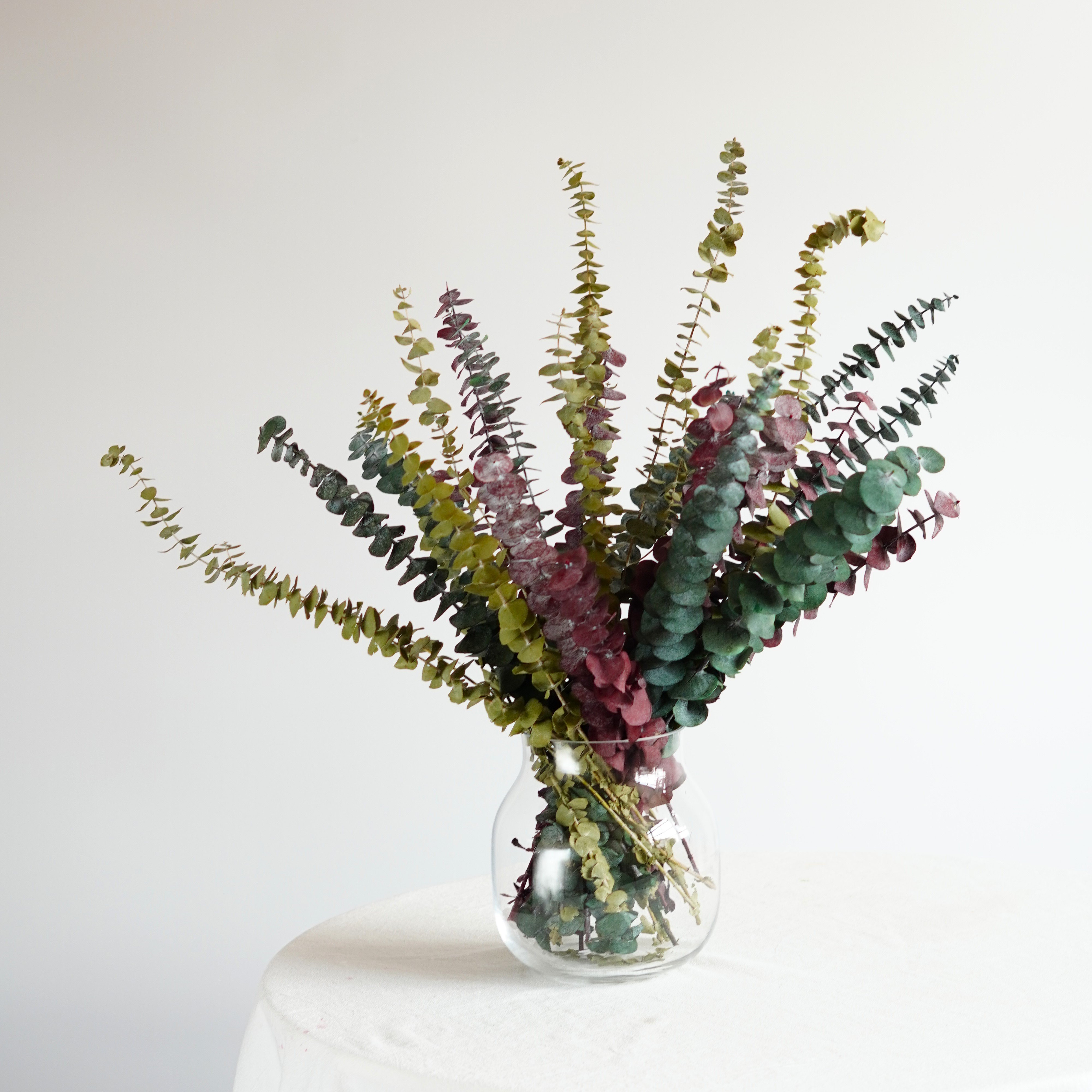 Preserved Eucalyptus Dried Eucalyptus Bunch Home Decor Shower Aesthetic Natural Eucalyptus Leaves