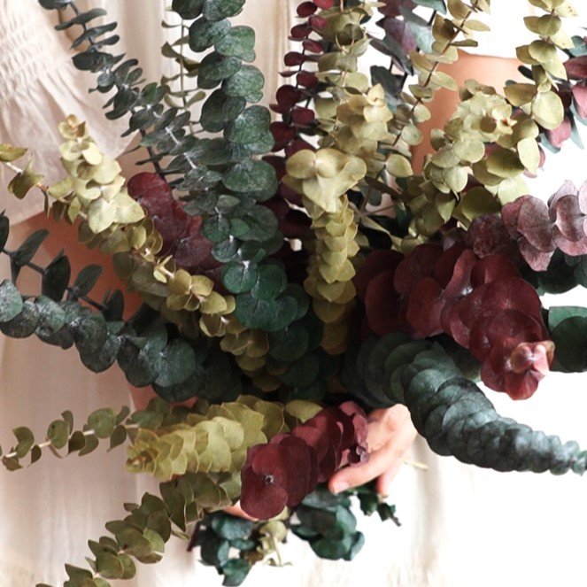 Preserved Eucalyptus Dried Eucalyptus Bunch Home Decor Shower Aesthetic Natural Eucalyptus Leaves