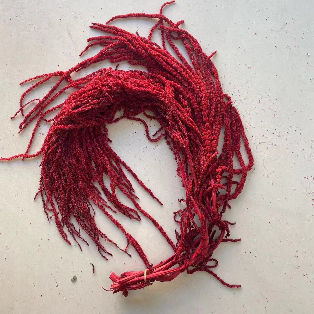 Eternal life flower Amaranthus hotel wedding flower decoration hanging rice dried flowers cross-border wholesale