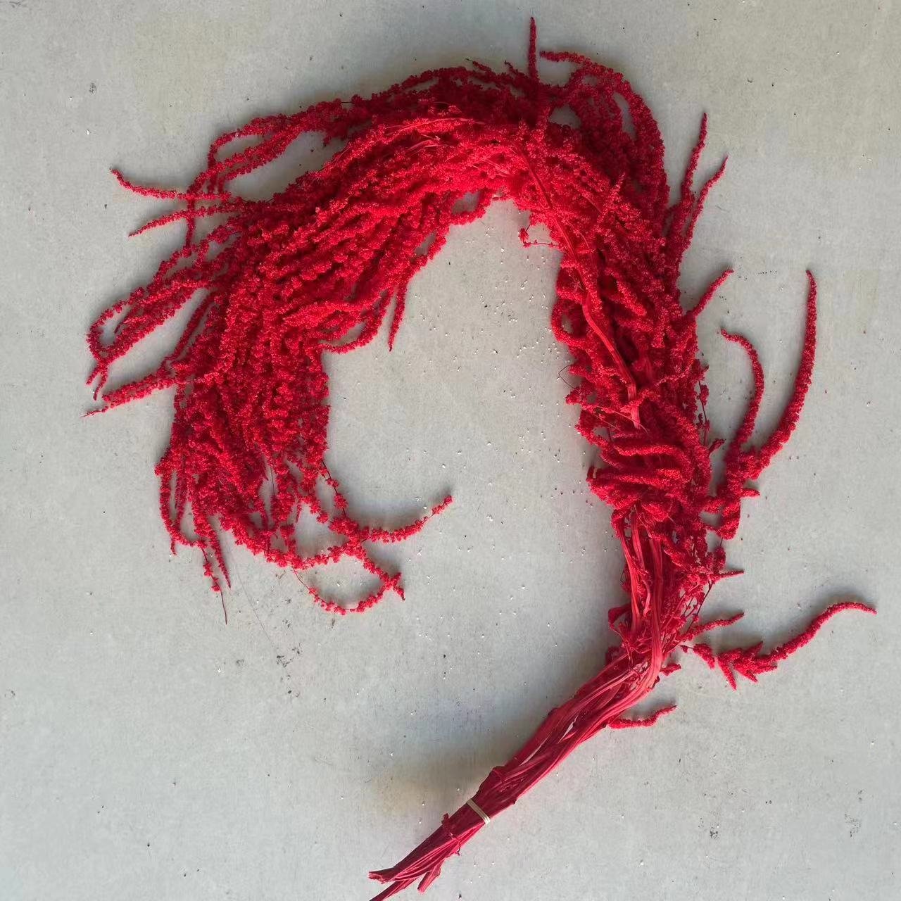 Eternal life flower Amaranthus hotel wedding flower decoration hanging rice dried flowers cross-border wholesale