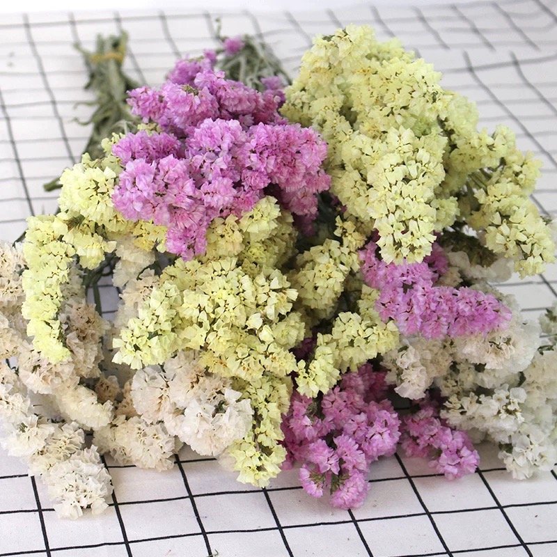 Wholesale Mori natural flower statice dried flower for living room wedding home decoration