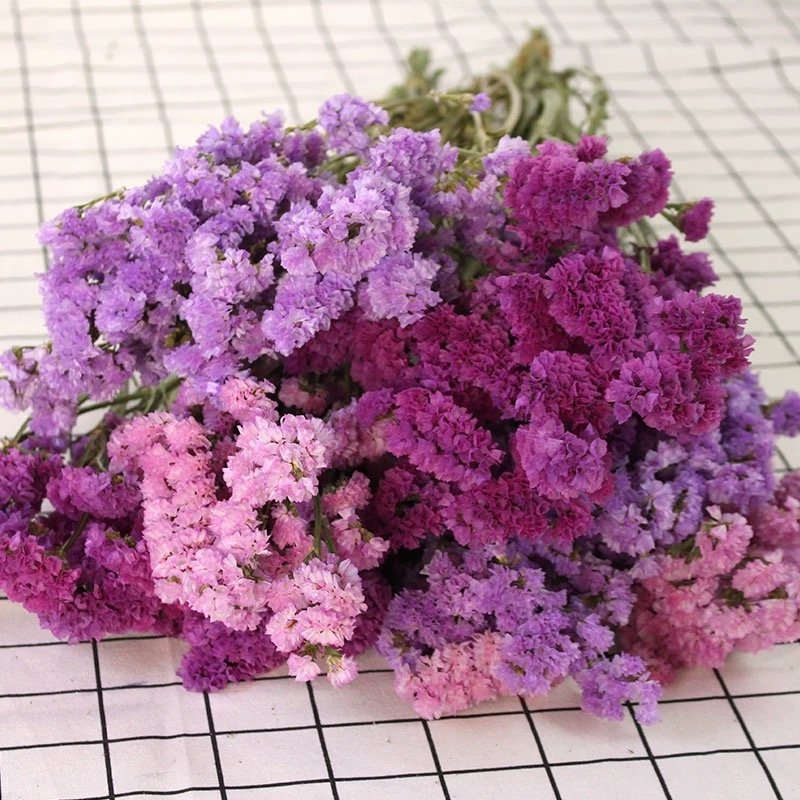 Wholesale Mori natural flower statice dried flower for living room wedding home decoration