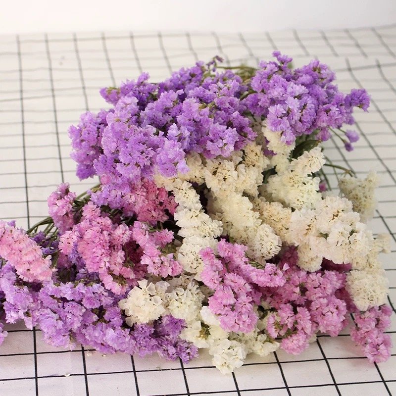 Wholesale Mori natural flower statice dried flower for living room wedding home decoration