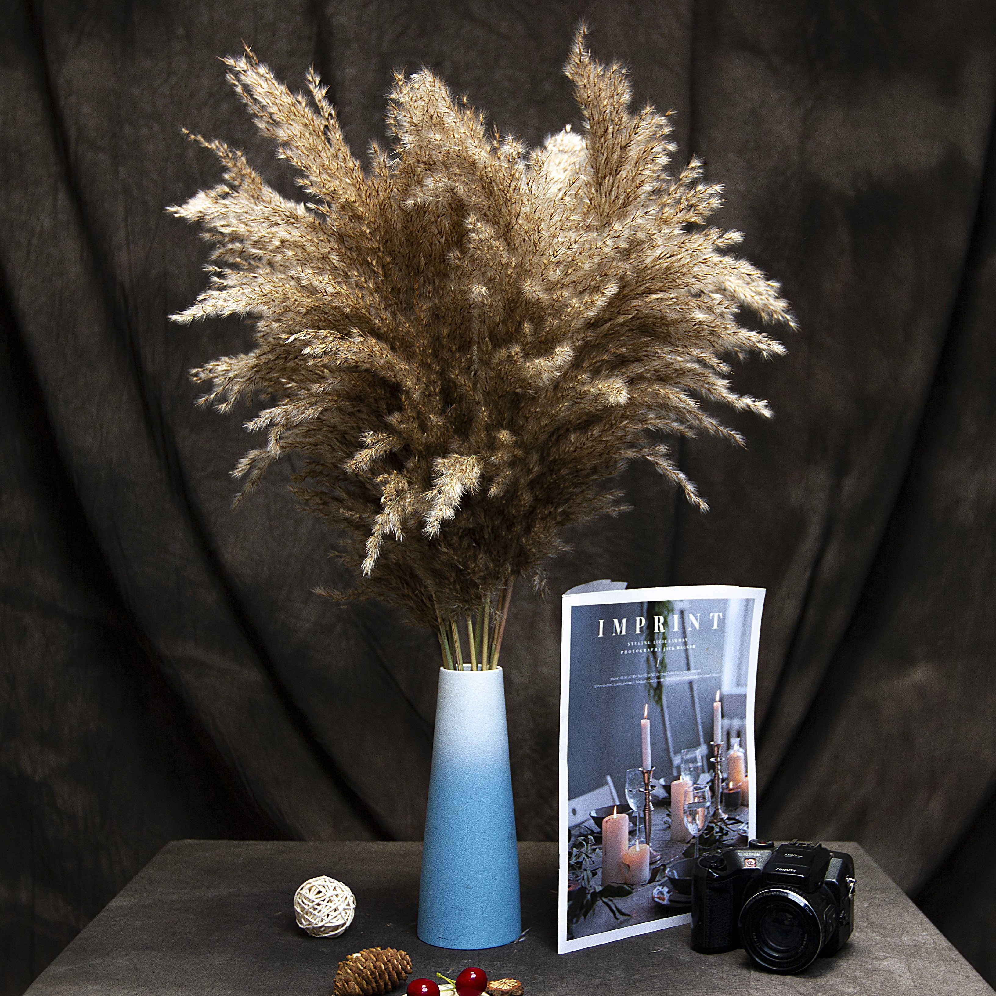 Manufacturer wholesale Pampas grass Eternal pampas Natural reed Dried flowers Home decor