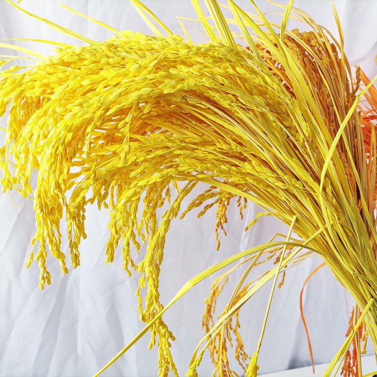 sumflora Chinese supplier Wrapping Dried Flower Bouquets wedding supplies decorations dried flowers rice