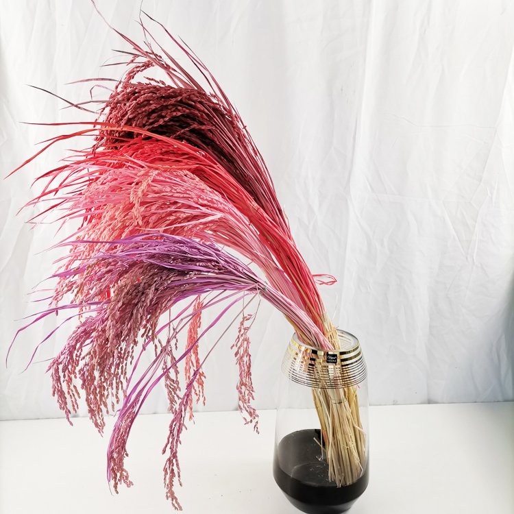 sumflora Chinese supplier Wrapping Dried Flower Bouquets wedding supplies decorations dried flowers rice