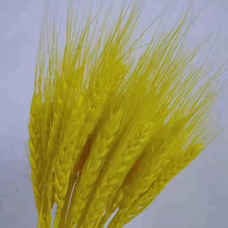 Factory supply natural dried flowers straw grass dried wheat flowers for home decoration