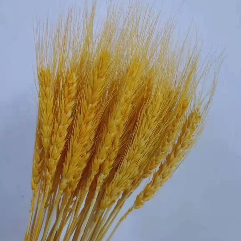 Factory supply natural dried flowers straw grass dried wheat flowers for home decoration