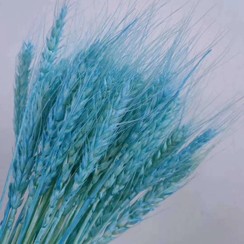 Factory supply natural dried flowers straw grass dried wheat flowers for home decoration