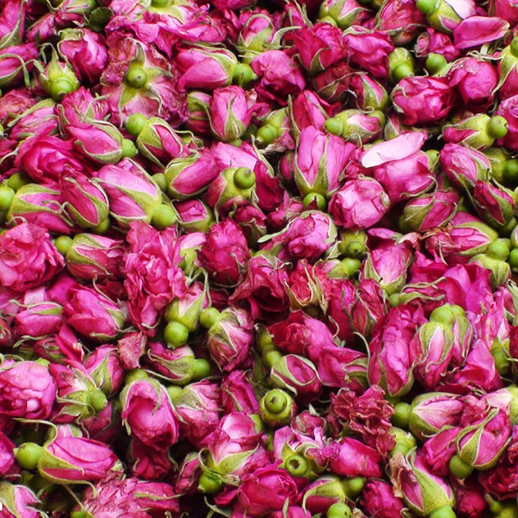 For Sale Natural Gansu Kushui Rose Bud